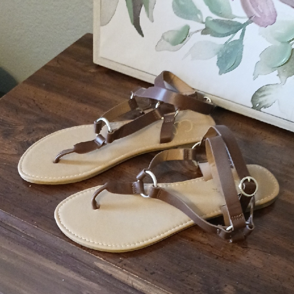 Elegant Brown Strappy Sandals